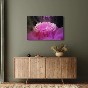Rózsaszín virág képe a füstben (90x60 cm)