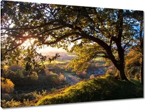 Vászonkép 90x60 Kilátás a völgyre