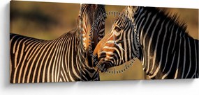 Kép - Két zebra (órával) (90x30 cm)