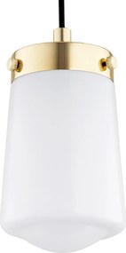 Argon PASADENA 8004 Függőlámpa 1x15W/E27 IP20