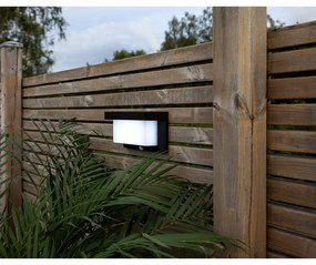 Valla napelemes fali LED lámpa, 20 x 12 cm - Star Trading