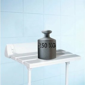 SAPHO A0020301 Handicap összecsukható ülőkezuhanykabinhoz, támasztékkal, fehér