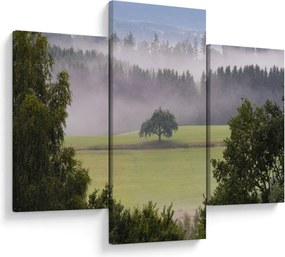 Egy kép a rétről egy fával (90x60 cm)