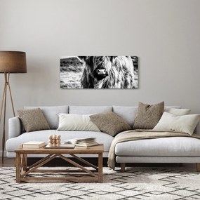 Kép - Highland - skót tehén (120x50 cm)