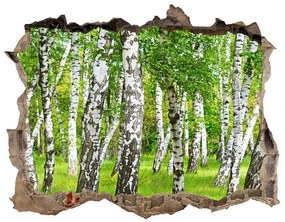 3d-s lyuk vizuális effektusok matrica Nyírfa erdő nd-k-85613602