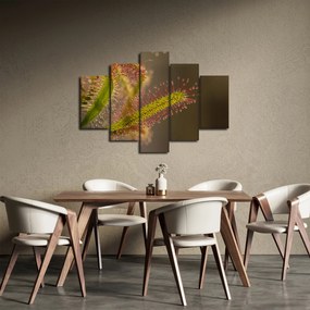 A növény képe (150x105 cm)
