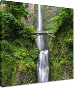 Vászonkép 50x50 Magas vízesés Kaszkád