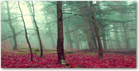 Fotótapéta üvegfalra Őszi levelek 140x70