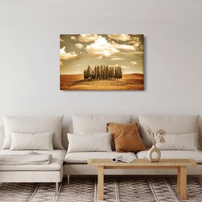A Tisztás képe (90x60 cm)