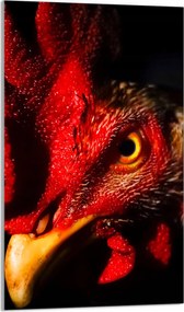 Üveg Vágódeszka 30x52 Kakas a Konyhába