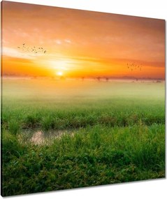 Vászonkép 80x80 Napfelkelte Ébredés