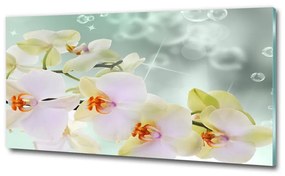 Egyedi üvegkép Fehér orchidea osh-91133337