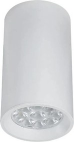 Zambelis CEILING SPOT S002 Felületi spotlámpa 1x40w/GU10 IP20