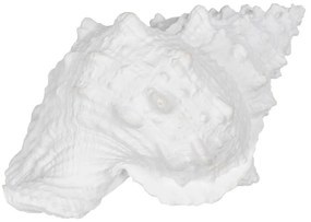 Poligyanta szobor (magasság 12 cm) Seashell – Ixia