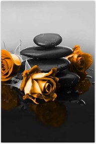 Poszterek 80x120 Narancssárga rózsa Spa