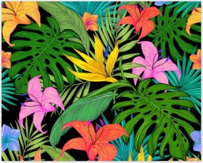 Poszterek 50x40 Levelek Monstery Levelek