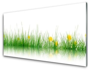 Akrilkép Nature Flowers Grass 100x50 cm 2 fogas