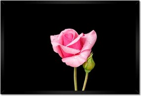 Poszter keretben 60x40 Rózsaszín rózsabimbó