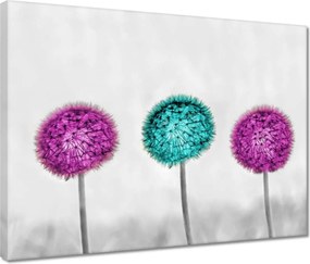 Vászonkép 40x30 Lila pitypangok