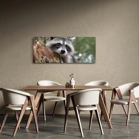 Egy mosómedve képe (120x50 cm)