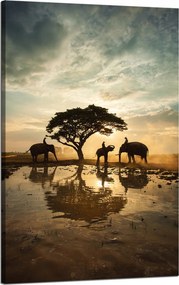 Vászonkép Emberek az elefántokon naplementekor 50x80 cm