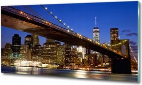 Fotó üvegkép New York madár repülés 100x70