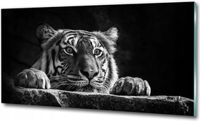 Fotó-kép fotó edzett üveg Tigris 100x70