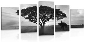 5 részes kép elefánt napkeltével fekete fehérben