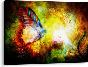 Kép - Kozmikus pillangó (70x50 cm)