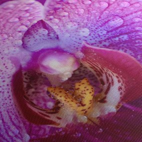 Részletes kép az orchidea virágról (70x50 cm)