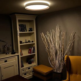 LED mennyezeti lámpa OPÁL + távvezérlő + Wifi 48W - LC902M