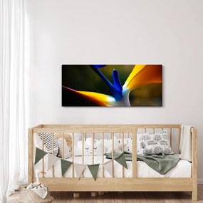 Kép - Egzotikus virág (120x50 cm)