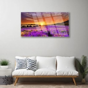 Akrilkép Sunset Lavender Field 100x50 cm