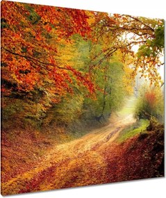 Vászonkép 90x90 Út az erdőben ősz