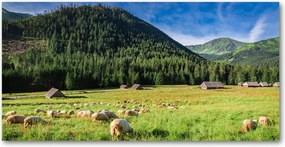 Konyhai panel Bárányok a Tátrában 120x60 cm Ragasztó