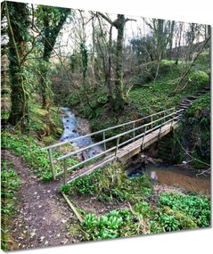 Vászonkép 50x50 Híd a parkban