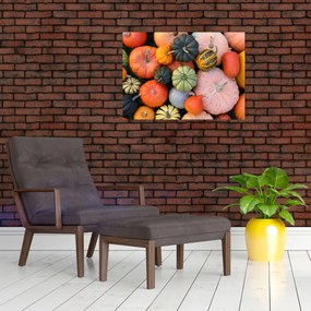 Kép - Tök (70x50 cm)