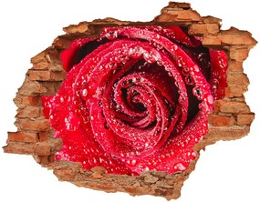 Fali matrica lyuk a falban Vízcseppek egy rózsa nd-c-83790041