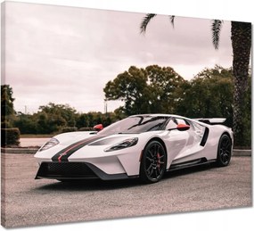 Vászonkép 50x40 Ford autó