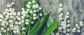 A gyöngyvirág képe (120x50 cm)
