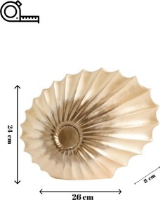 Seashell
