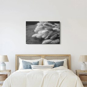 Kép - nyúlfarknyi fű az asztalon (90x60 cm)