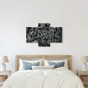 Kép - Fagyasztott növények (90x60 cm)