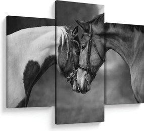 Kép - Szerelmes lovak, fekete-fehér (90x60 cm)