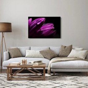 Kép - Vízcsepp (90x60 cm)