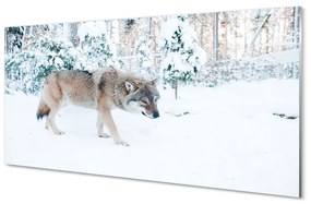 Akrilkép Wolf téli erdőben 100x50 cm 2 fogas