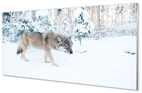 Akrilkép Wolf téli erdőben 120x60 cm