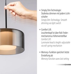 Paul Neuhaus modern függeszték rika fekete füstös pln2112-18