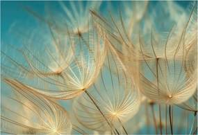 Fotótapéta Fali tapéta Hálószoba Nappali szoba Pitypangok éteri 152x104