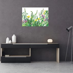 Kép - Festett réti virágok (70x50 cm)